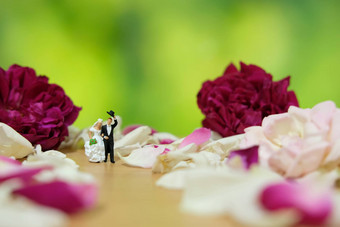 微型摄影户外花园婚礼仪式概念新娘新郎走红色的白色玫瑰花桩