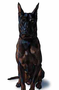 聪明的黑色的泰国脊背犬狗坐着构成