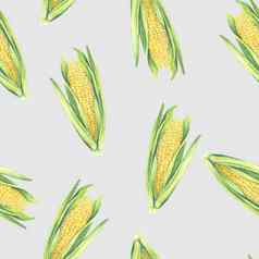 无缝的模式玉米玉米穗轴叶子灰色背景生态蔬菜植物商店设计健康的生活方式包装纺织手画水彩插图植物现实的艺术