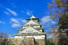 美丽的场景公园大阪城堡