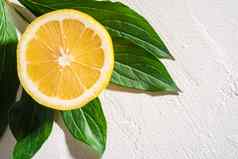 柠檬片热带柑橘类水果绿色叶子白色混凝土