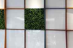 墙使人工绿色植物有机玻璃人工景观室内
