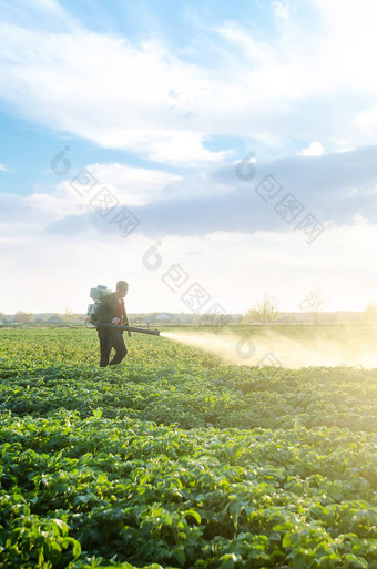 农民雾喷雾器鼓风机流程<strong>土豆种植</strong>园害虫真菌感染烟熏器雾化器化学物质农业农业农业综合企业收获处理