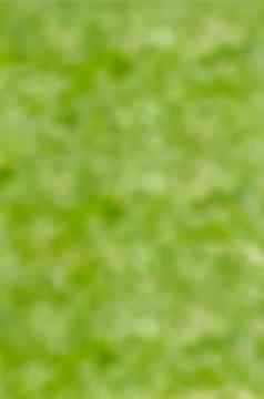 小新生儿小鸭走后院绿色草黄色的可爱的小鸭子运行草地场阳光明媚的一天横幅全景拍摄鸭小鸡草