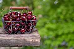 新鲜的樱桃水果金属篮子背后背景绿色叶子