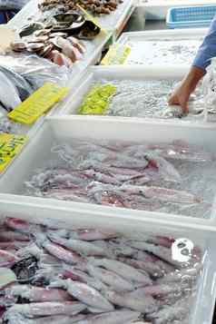 海鲜新鲜的鱿鱼海鲜市场泰国