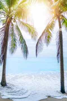 热带自然清洁海滩白色沙子夏天太阳光蓝色的天空散景背景