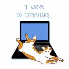 姜猫睡眠有趣的构成移动PC