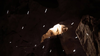 迪斯科光内部蝙蝠洞穴罕见的夏天冬至