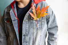 美丽的多色的秋天枫木叶子皮瓣牛仔布夹克