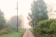 农村景观早期多雾的早....村