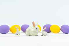 复活节一天家庭兔子兔子装饰鸡蛋