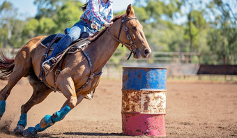 马骑手竞争桶比赛内地国家牛仔竞技表演