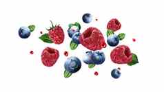 树莓蓝莓飞行汁滴