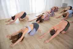 集团年轻的运动有吸引力的人瑜伽工作室练习瑜伽教训教练站伸展运动放松锻炼健康的活跃的生活方式工作在室内健身房