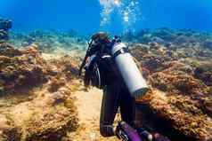 女人潜水员热带珊瑚礁潜水潜水热带海洋