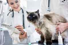猫检查表格兽医诊所宠物医生