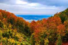 色彩斑斓的秋天景观罗马尼亚喀尔巴阡山