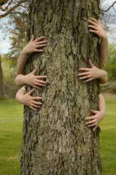 树拥抱环保人士