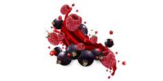 飞溅水果汁新鲜的树莓黑色的醋栗浆果