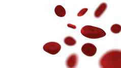 红色的血细胞孤立的白色背景医疗医疗保健概念血红蛋白部分身体主题解剖学主题插图