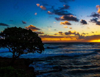有创意的瓦胡岛北海岸<strong>夏威夷</strong>图片
