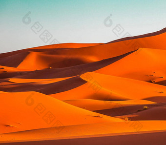 风景优美的沙子沙丘撒哈拉沙漠沙漠