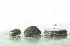 孤立的湿Zen石头溅水滴