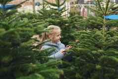 小女孩选择圣诞节树市场