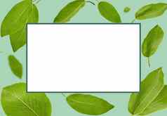 绿色叶子李子树茶下降蓝色的背景框架白色复制空间模式模板模型拼贴画关闭