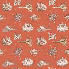 水彩数字插图无缝的模式贝壳棕色（的）海洋生活橙色背景