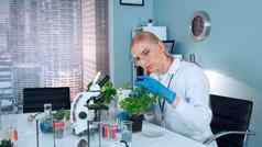现代实验室研究科学家检查植物能外科手术钳子