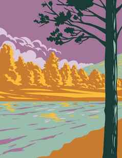 贝林格河国家公园贝林格河未受破坏的森林达克伍德南威尔士澳大利亚水渍险海报艺术