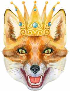 狐狸头金皇冠水彩狐狸绘画插图孤立的白色背景