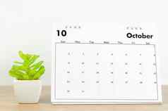 10月桌子上日历植物能木表格