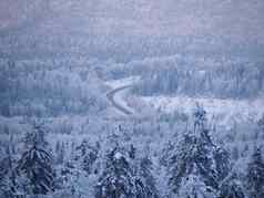 白雪覆盖的路白雪覆盖的树冬天乌拉尔森林