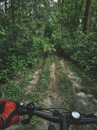 视图杂草丛生的路径森林眼睛骑自行车的人骑自行车自行车骑自行车的人发现自然