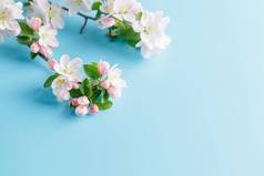盛开的春天樱花蓝色的背景空间问候消息概念春天母亲的一天美丽的精致的粉红色的樱桃花春天