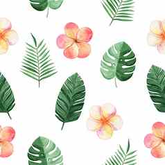 水彩热带花棕榈叶子无缝的模式plumeriamonstera植物白色背景织物纺织品牌邀请剪贴簿包装