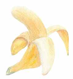 水彩打开香蕉孤立的白色背景水果皮