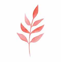 水彩红色的分支叶子孤立的白色背景秋天婚礼邀请设计织物卡片
