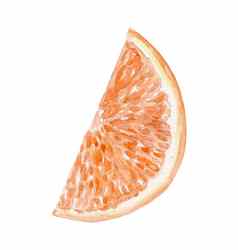 水彩橙色水果减少片孤立的白色背景