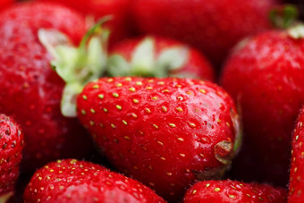 多汁的成熟的自然<strong>红色</strong>的草莓转<strong>基因</strong>生物草莓完整的框架特写镜头