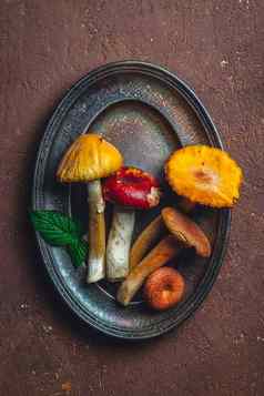 菜森林蘑菇草本植物高质量照片
