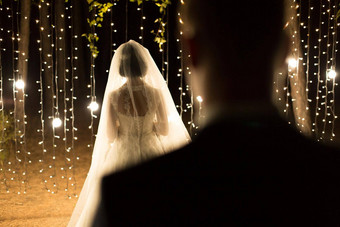 婚礼仪式晚上会议新婚夫妇新娘新郎松柏科的松森林蜡烛光灯泡
