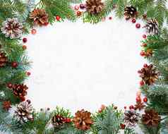 圣诞节快乐一年光白色背景框架冷杉分支机构浆果