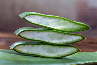 aloes真正植物疗法美容