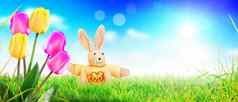 有趣的复活节兔子快乐复活节假期概念