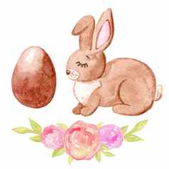 水彩手画复活节集棕色（的）兔子蛋花孤立的白色背景