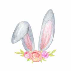 水彩灰色兔子耳朵花孤立的白色背景复活节插图